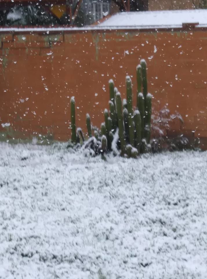 Snow in midtown